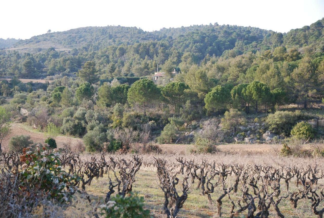 La Petite Cigale Cesseras Exterior foto