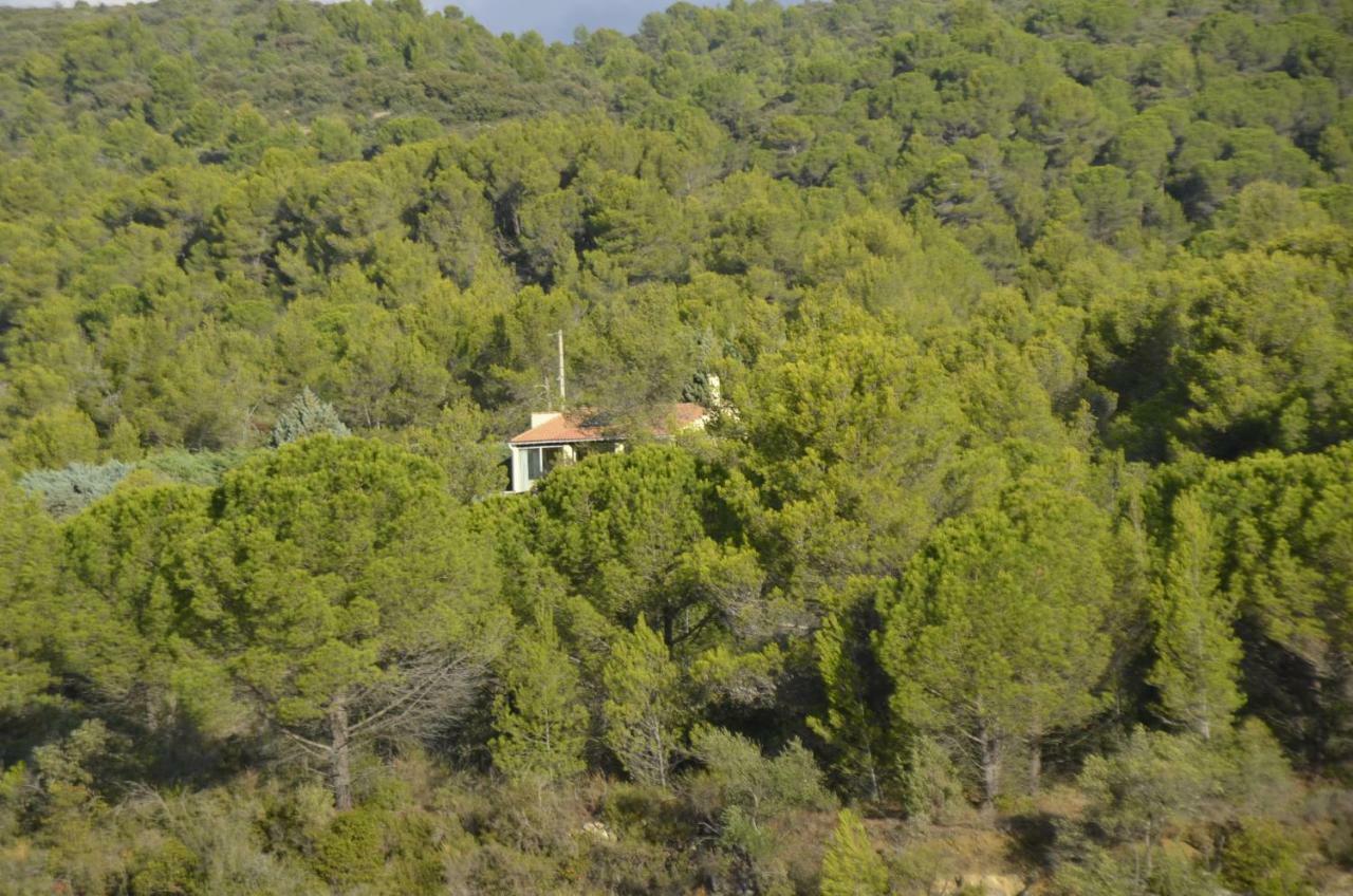 La Petite Cigale Cesseras Exterior foto